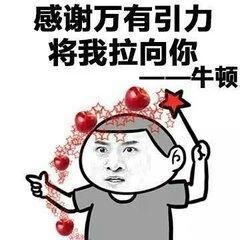 妹子我可以撩你吗表情包 高清无水印版