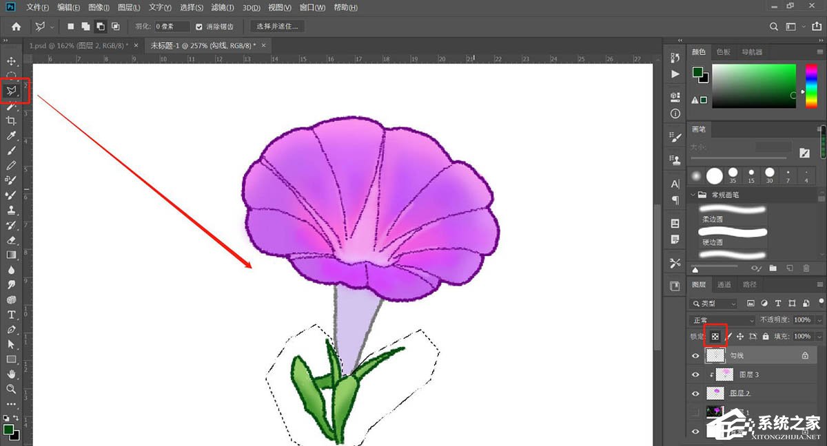 PS如何手绘牵牛花插画