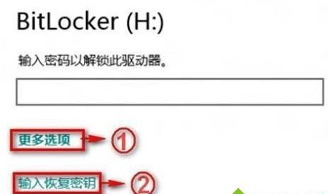 Bitlocker密码遗忘