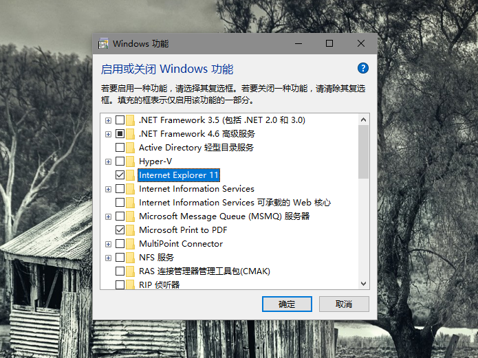 Win10默认设置里有两个edge