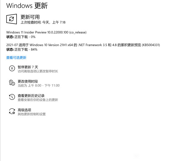 indows 11 Insider Build 22000.100