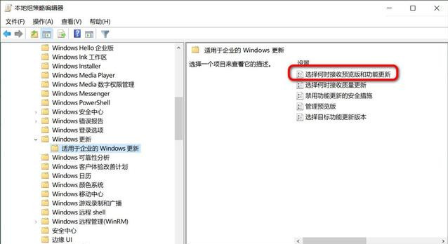 怎么阻止更新至Win10 20H2