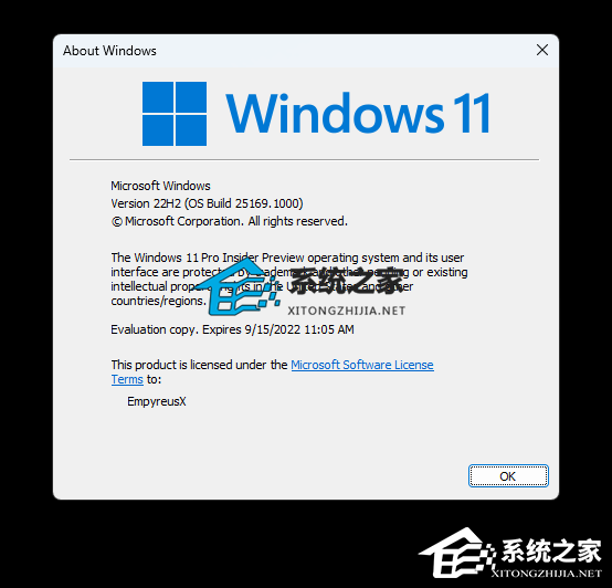 微软最新Win11 Insider Preview Build