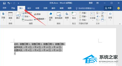 Word软件中文本转换成为表格的方法教学