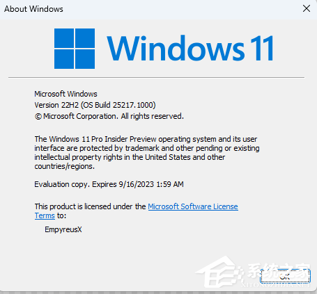 Windows 11 25217.1010