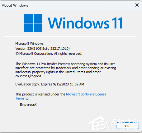 Windows 11 25217.1010