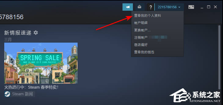 怎么隐藏Steam游戏状态？