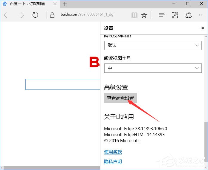 Win10提示“点击即可启用adobe flash p