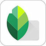 Snapseed(修图软件) V2.19.0.201907232 免费版