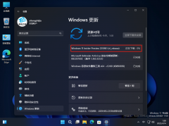 微软Win11 Build 22598.1(ni_release) Dev/Beta版本发布！