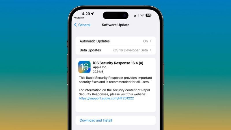 苹果 iOS 16.4 Beta 3 新的快速安全响应描述：不兼容问题一些应用程序可能会意外关闭